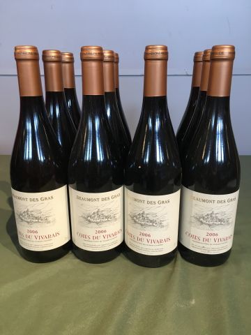 12 bouteilles Côtes du Vivarais 2006 Beaumont...