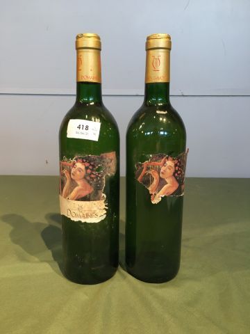2 bouteilles dont 1 bouteille : Côtes de...