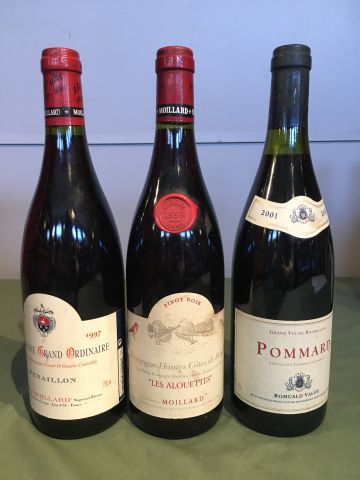 1 bouteille : Bourgogne Grand Ordinaire Penaillon...
