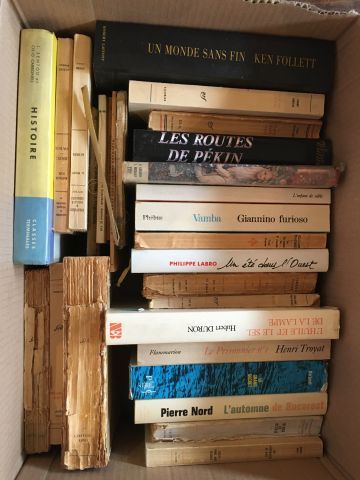 Carton de livres brochés sur Avignon, la...