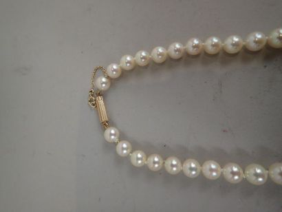 Collier shoker en perles de culture, avec...