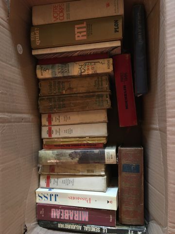Carton de livres brochés. En l'état.