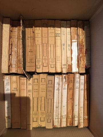 Carton de livres brochés comprenant notamment...