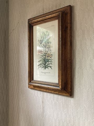 (SUITE PHOTOS LOT 1) ENTIER MOBILIER D'UNE...