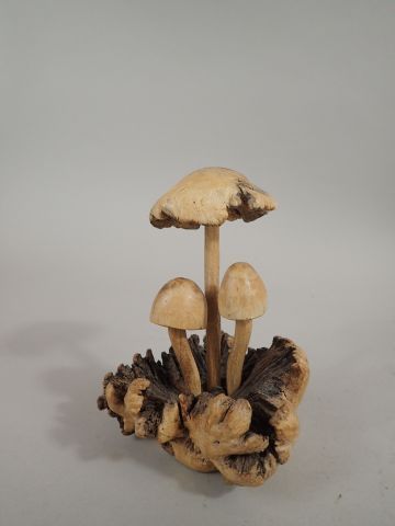 Groupe en bois sculpté figurant des champignons....