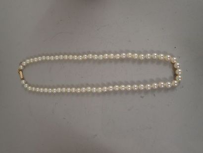 Collier shoker en perles de culture, avec...