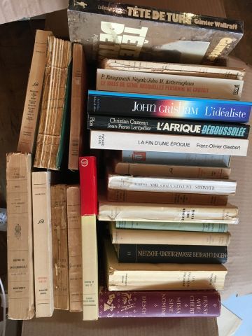 Carton de livres brochés. En l'état.