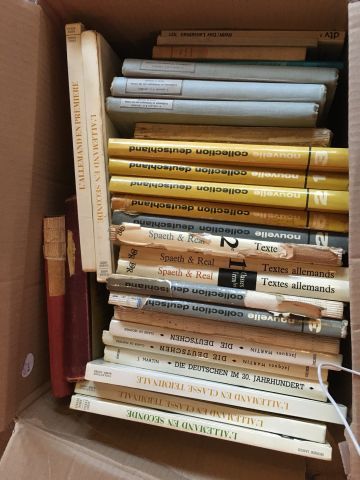 Carton de livres brochés dont Faust de Goethe....