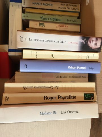 Carton de livres brochés. En l'état.