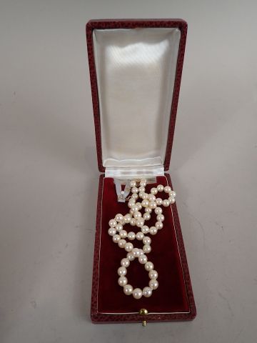 Collier shoker en perles de culture, avec...