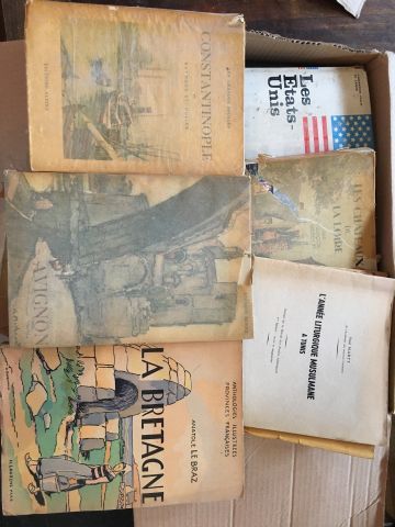 Carton de livres brochés sur Avignon, la...