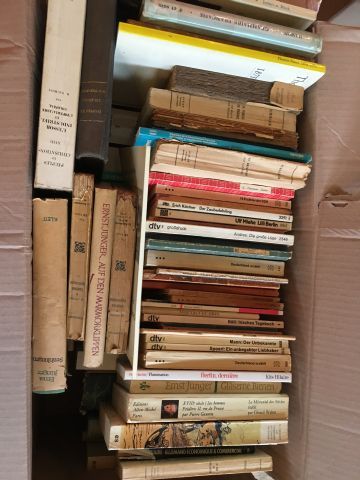 Carton de livres brochés dont De Gaulle....