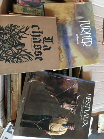 Carton de livres brochés et reliés sur l'histoire...