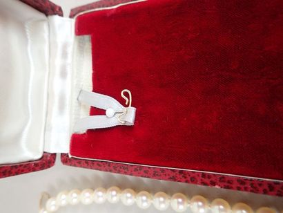 Collier shoker en perles de culture, avec...