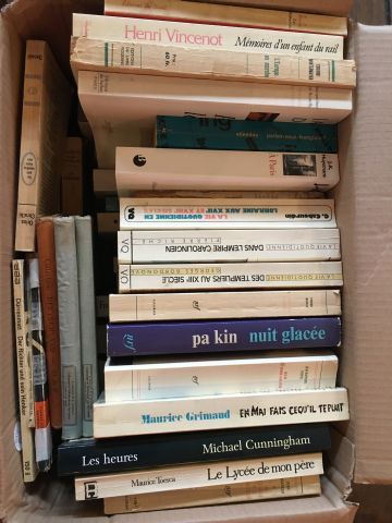 Carton de livres brochés. En l'état.