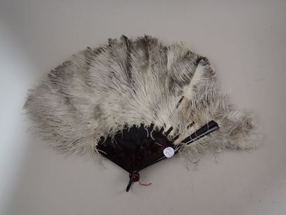 Eventail en plumes d'autruches, monture en...
