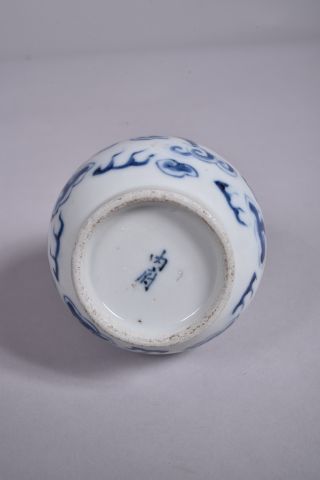 Deux aspersoirs en porcelaine bleu-blanc,...