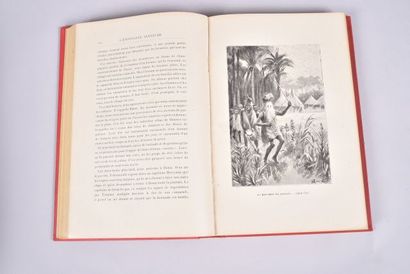 Jules VERNE, Les voyages extraordinaires,...