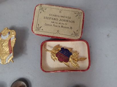 Lot de boutons militaires et insignes dont...
