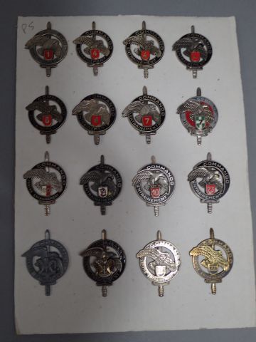 Lot d’insignes Parachutiste, légion et commando,...