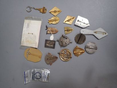 18 Insignes Para et Légion dont rare modèle...