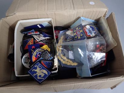 Fort lot d’insignes tissu dont pattes de...