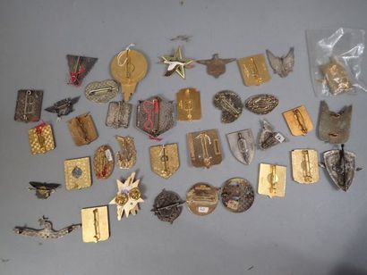 35 insignes de l’Armée de L’Air. Acciden...