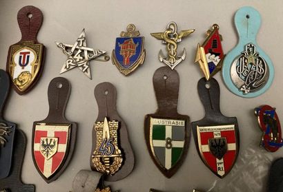 Lot d’insignes : Infanterie, Chasseurs, Armée...