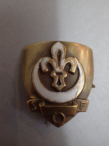 Scout de France. Important lot d’insignes...