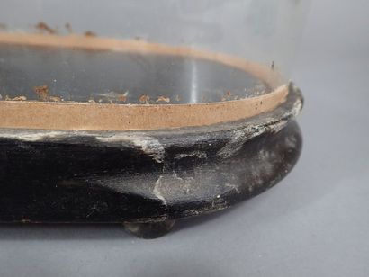 Globe en verre sur son socle en bois (H:...