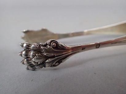 Pince à sucre en argent à griffes, à décor...