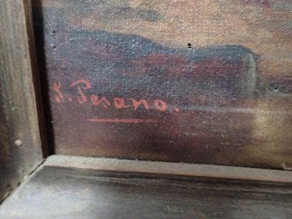 S.PESANO (XIXe-XXe), 