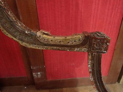 Carcasse de bergère à oreil en bois sculpté...
