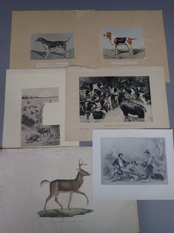 Ensemble de 20 gravures, impressions, chromolithographie...