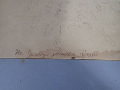 Ecole du XXeme, 