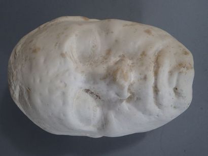 ATELIERS DE MOULAGE-MUSEE DU LOUVRE. Tête...