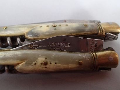 Ensemble de couteaux pliants dont OPINEL...