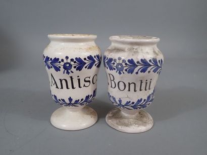 Paire de petits vases à pharmacie à décor...