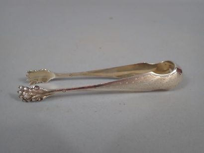 Pince à sucre en argent à griffes, à décor...