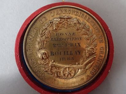 Oudiné, d'après. Médaille en vermeil ornée...