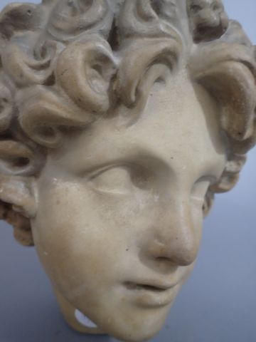 Tête de jeune homme en plâtre patiné, d'après...