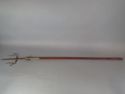 Grande lance chinoise. hampe en bois laqué...
