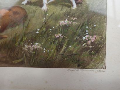 D'après Albert Willms 