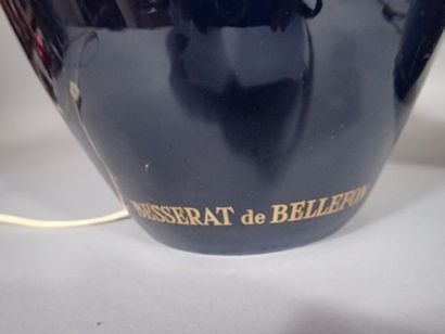 [CHAMPAGNE] Paire de lampes publicitaires...