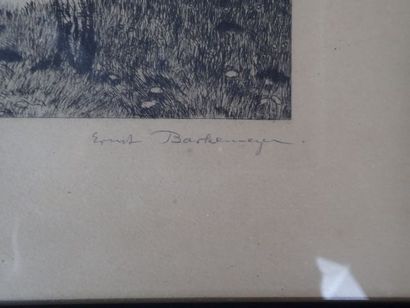 Ernst BARKEMEYER (XX), 