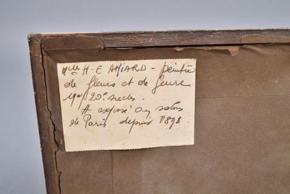 E. AMIARD (XIXe-XXe). 