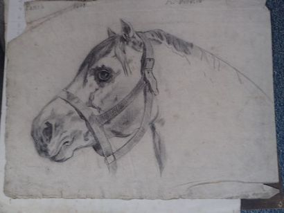 MOUTON Léon (fin du XIXe -début XXe), ensemble...