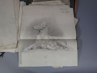 MOUTON Léon (fin du XIXe -début XXe), ensemble...