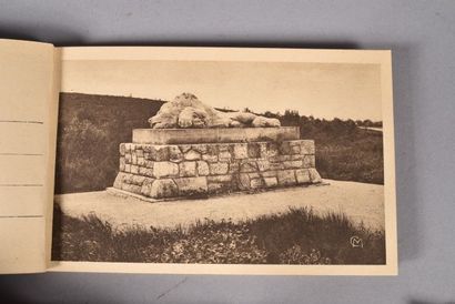 12 carnets de cartes-postales : Verdun, Douaumont,...