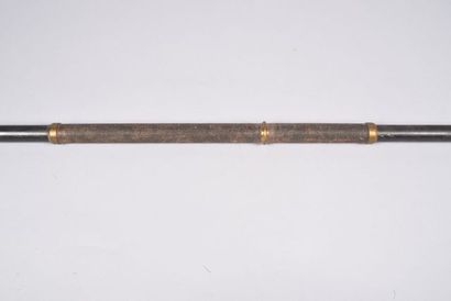 Lance de cavalerie allemande, modèle fer,...